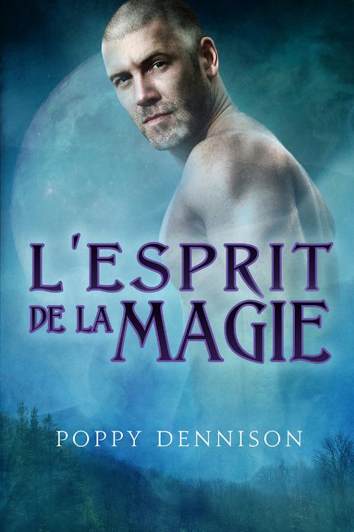 L’esprit de la magie, Les Triades