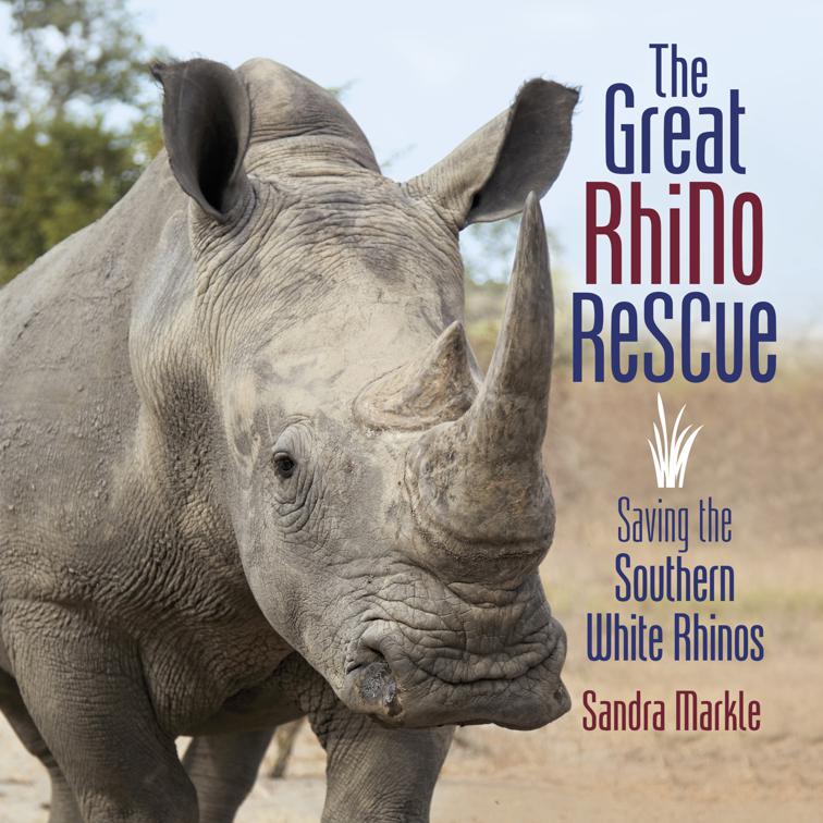 Great Rhino Rescue, Sandra Markle&#x27;s Science Discoveries