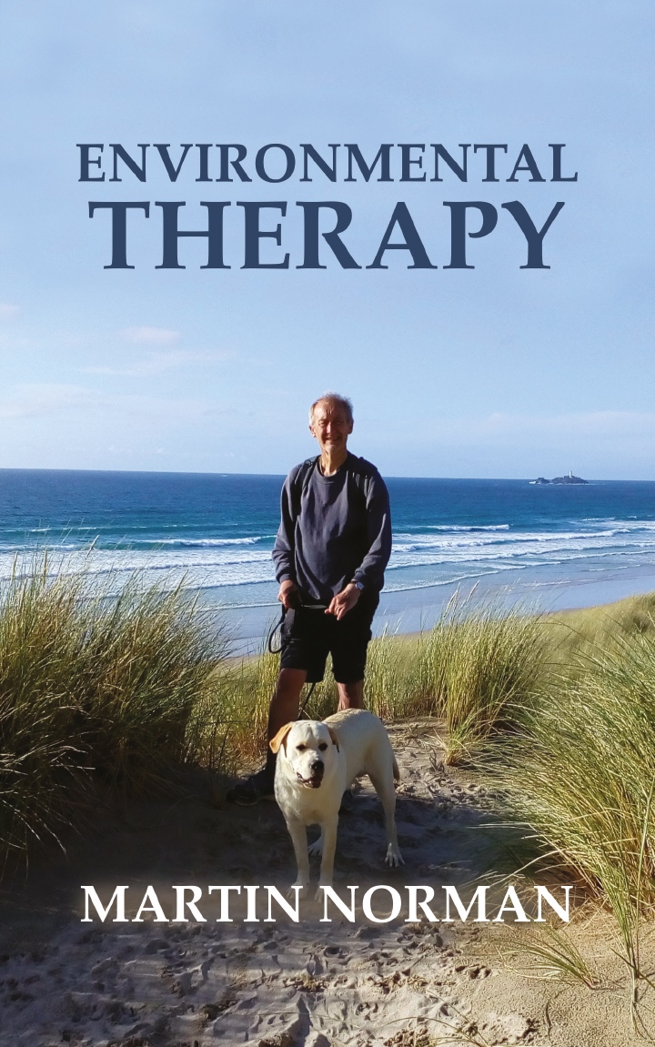 This image is the cover for the book Environmental Therapy