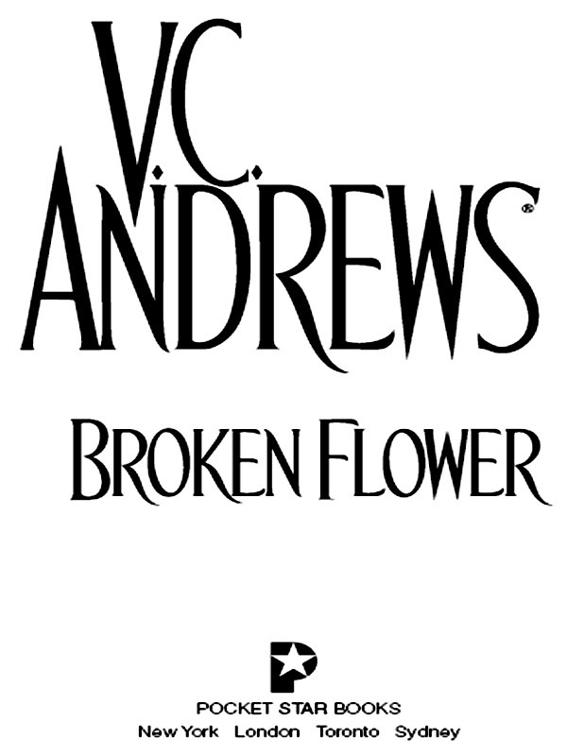 Broken Flower, Early Spring