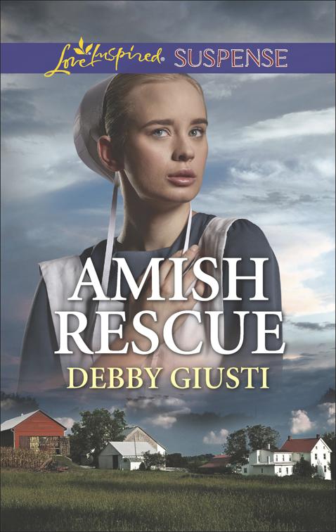 Amish Rescue, Amish Protectors