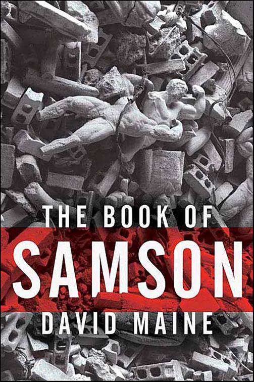 Book of Samson