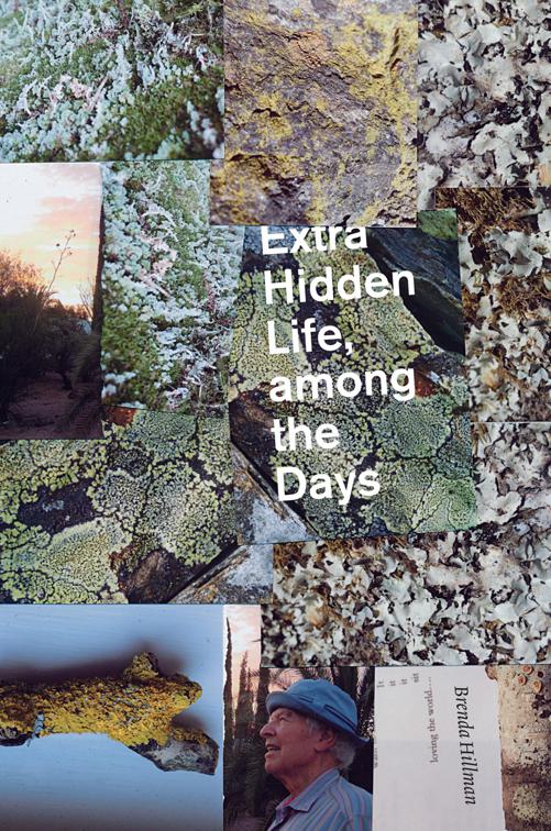 Extra Hidden Life, among the Days, Wesleyan Poetry Series
