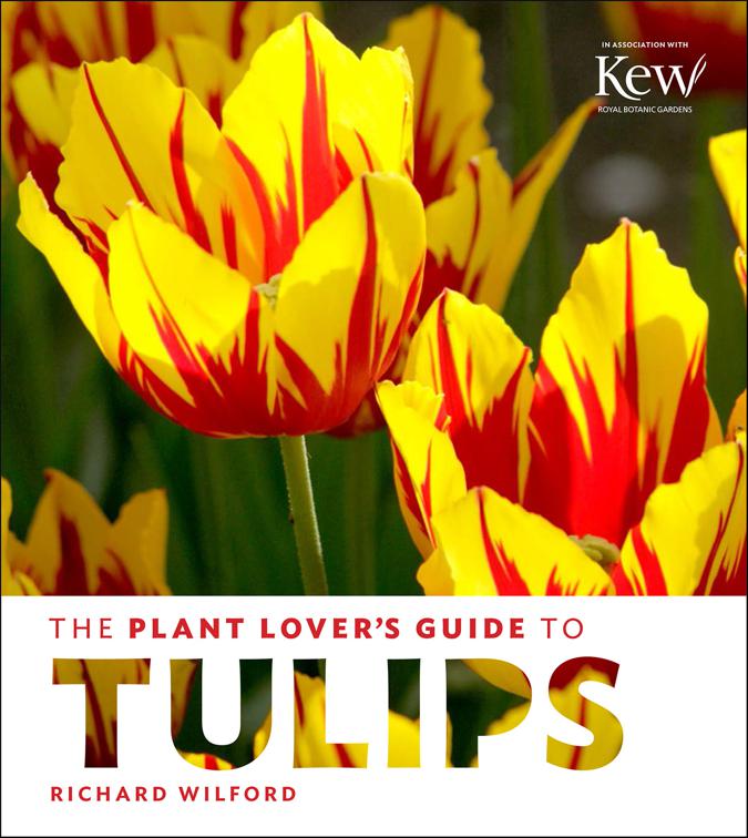 Plant Lover&#x27;s Guide to Tulips