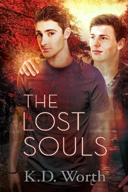 This image is the cover for the book The Lost Souls, The Grim Life