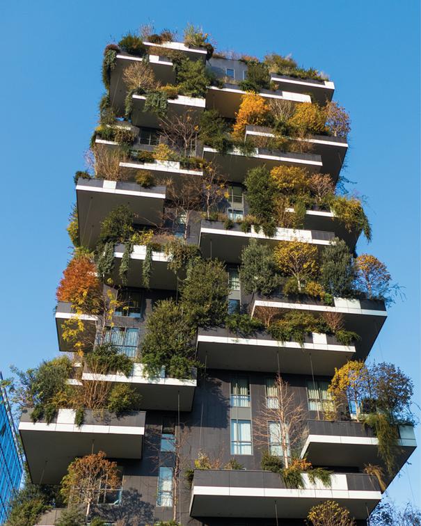 Buildings That Breathe