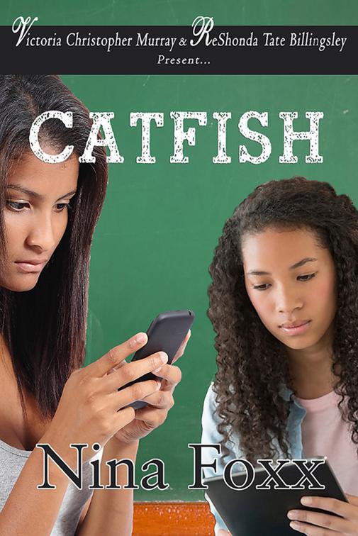This image is the cover for the book Catfish