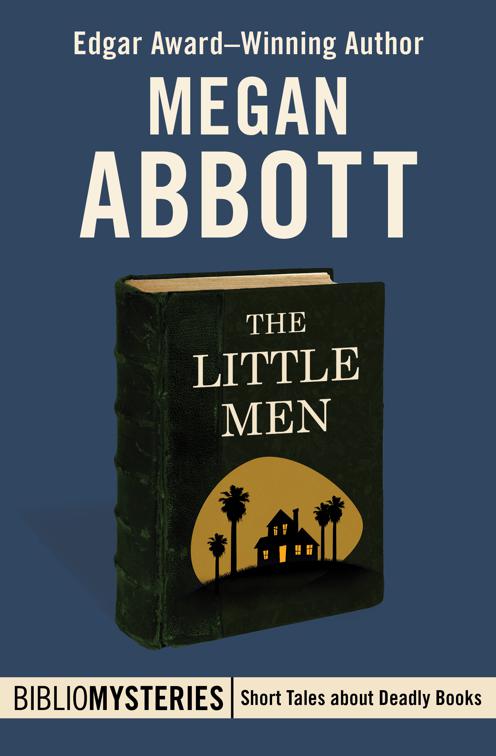 Little Men, Bibliomysteries