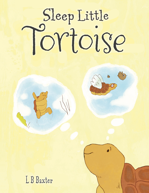 Sleep Little Tortoise