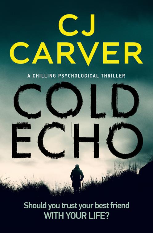 Cold Echo, The Harry Hope Thrillers