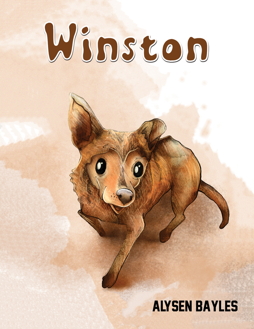 This image is the cover for the book Winston