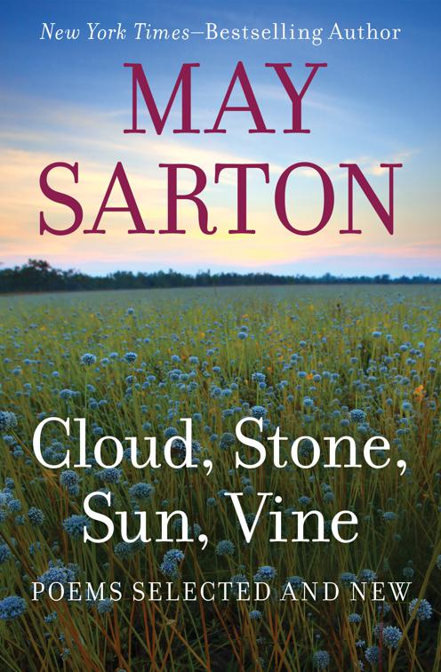 Cloud, Stone, Sun, Vine