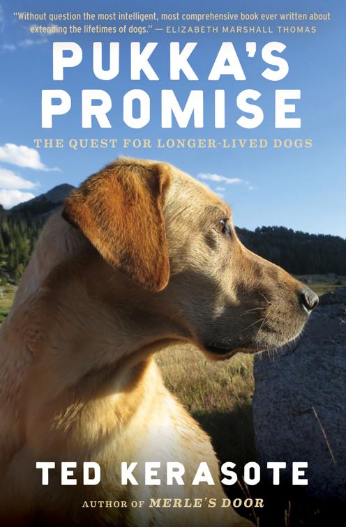 Pukka&#x27;s Promise