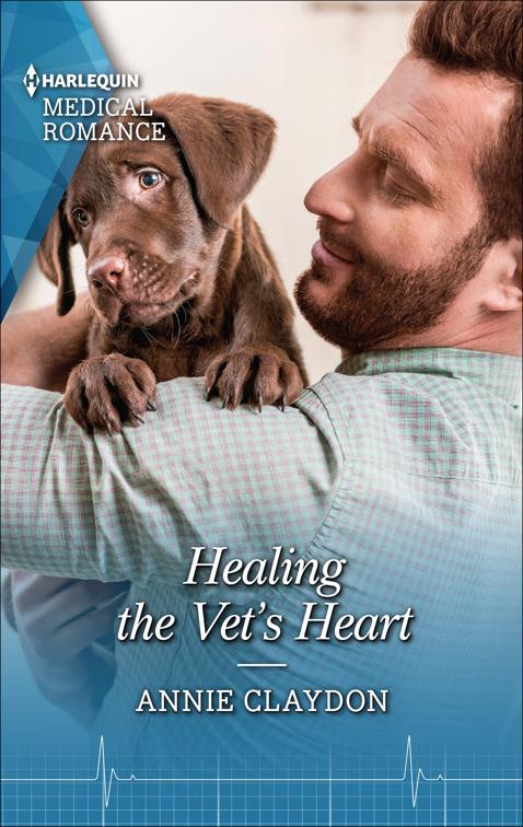 Healing the Vet&#x27;s Heart, Dolphin Cove Vets