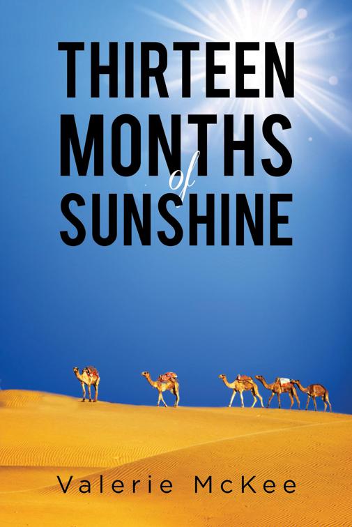 This image is the cover for the book Thirteen Months of Sunshine