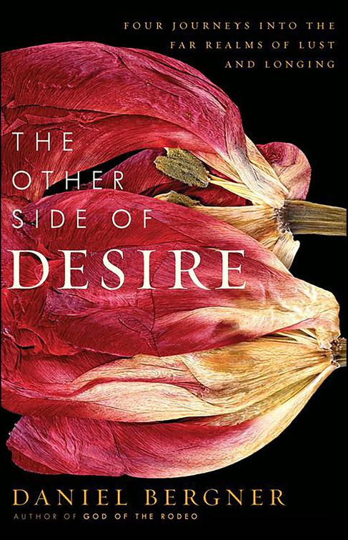 Other Side of Desire