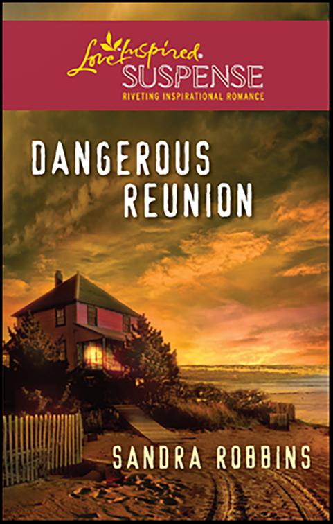 Dangerous Reunion, The Ocracoke Series