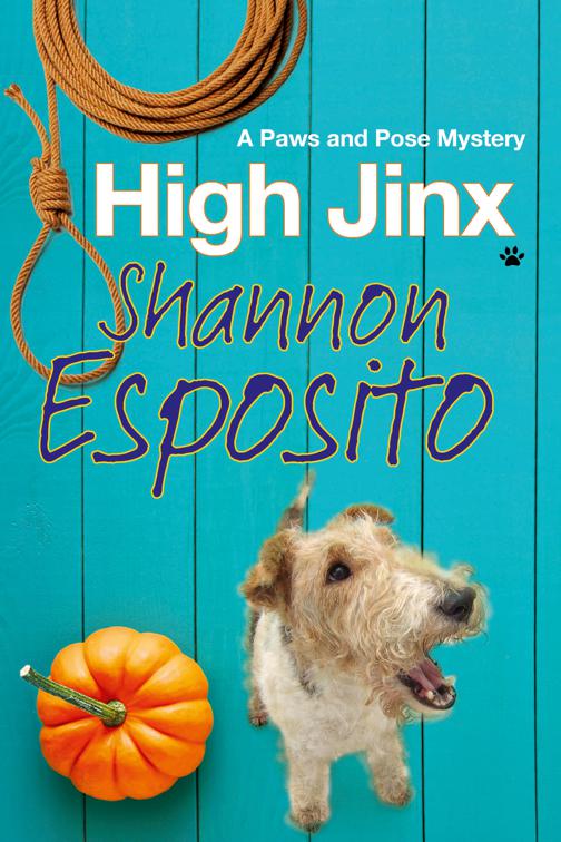 High Jinx, The Paws and Pose Mysteries