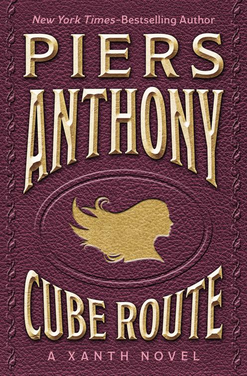 Up in a Heavel, The Xanth Novels
