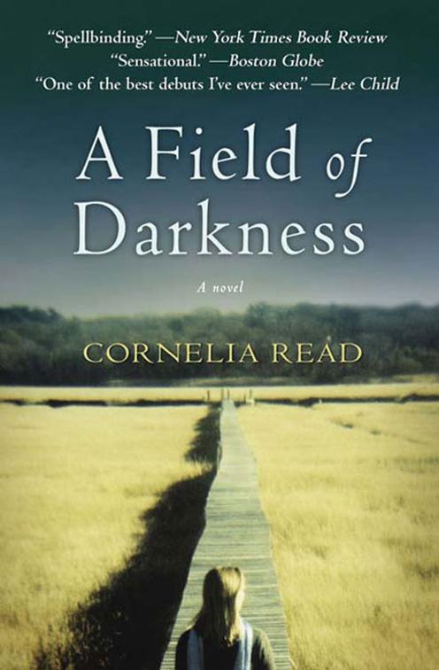 Field of Darkness, The Madeline Dare Novels