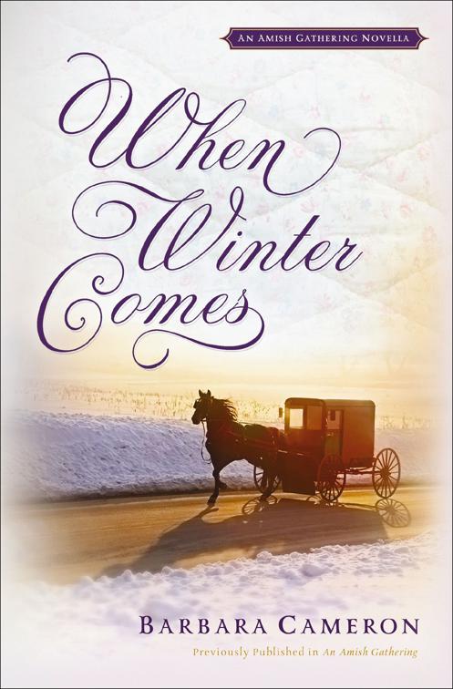 When Winter Comes, Amish Gathering Novellas