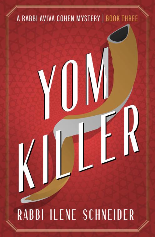 Yom Killer, Rabbi Aviva Cohen Mysteries
