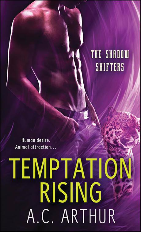 Temptation Rising, The Shadow Shifters