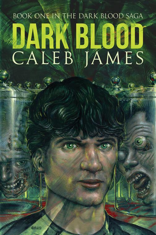 Dark Blood, Dark Blood Saga