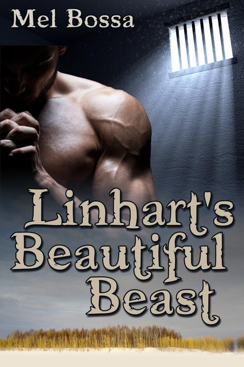 Linhart&#x27;s Beautiful Beast