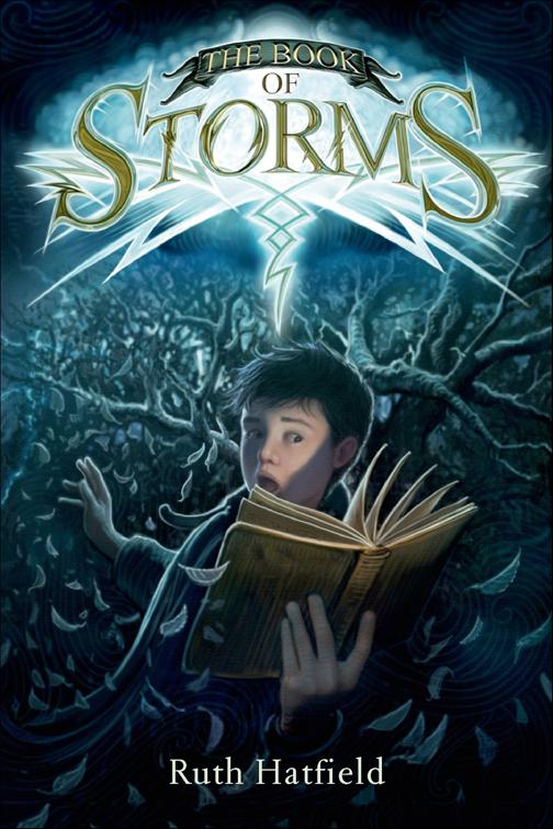 Book of Storms