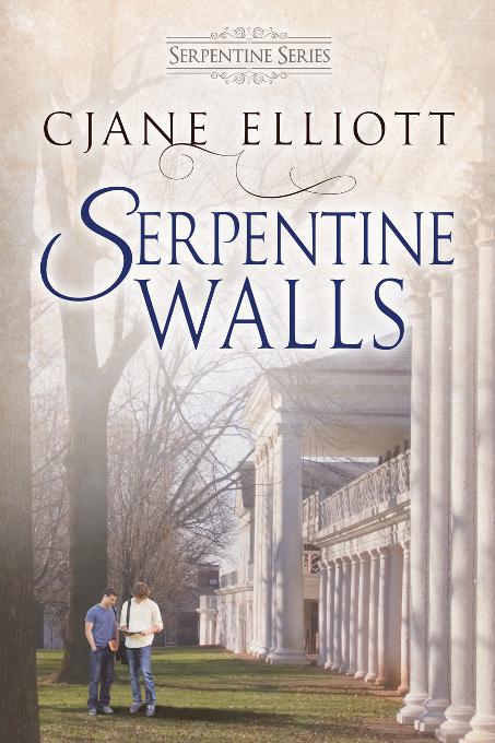 This image is the cover for the book Serpentine Walls, The Serpentine