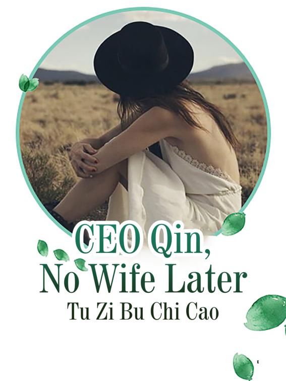 This image is the cover for the book CEO Qin, No Wife Later, Volume 7