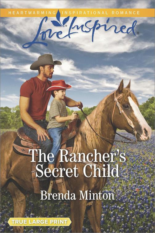 Rancher&#x27;s Secret Child, Bluebonnet Springs