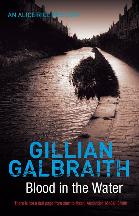 Blood in the Water, The Alice Rice Mysteries