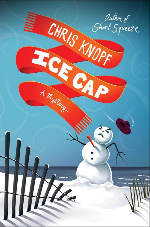 Ice Cap, Jackie Swaitkowski Mysteries