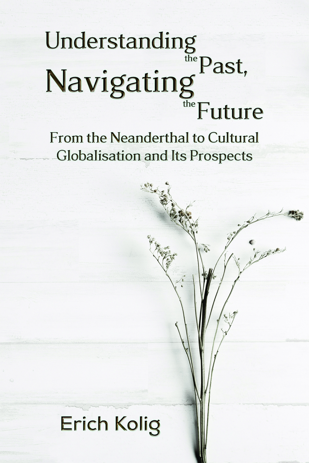 This image is the cover for the book Understanding the Past, Navigating the Future