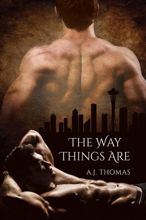 This image is the cover for the book The Way Things Are