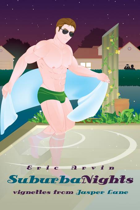 This image is the cover for the book SuburbaNights, SubSurdity Series
