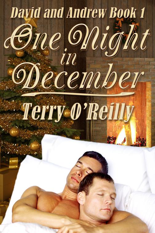 David and Andrew Book 1: One Night in December, David and Andrew