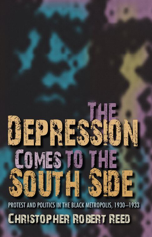 This image is the cover for the book Depression Comes to the South Side, Blacks in the Diaspora