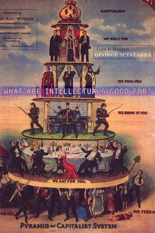 What Are Intellectuals Good For?