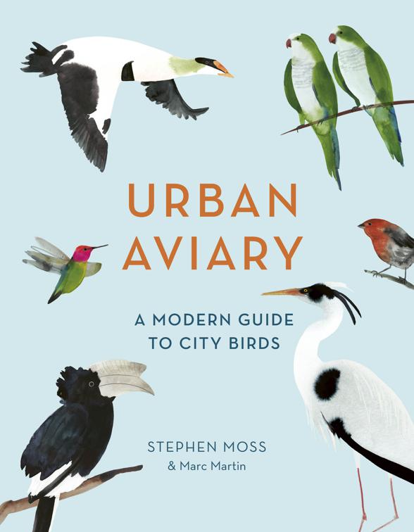 Urban Aviary