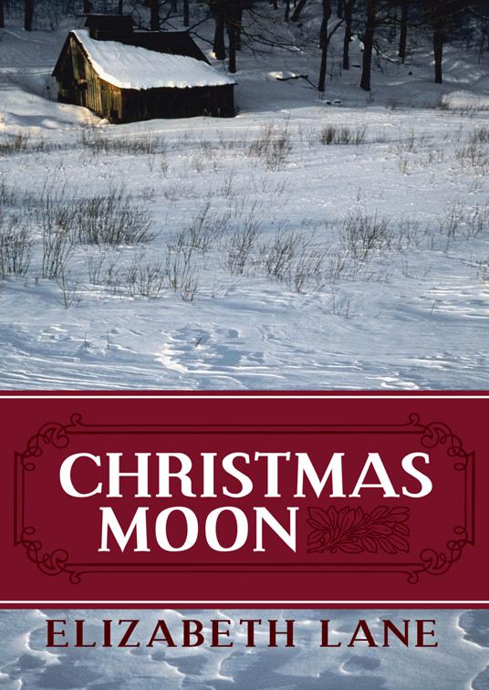 This image is the cover for the book Christmas Moon