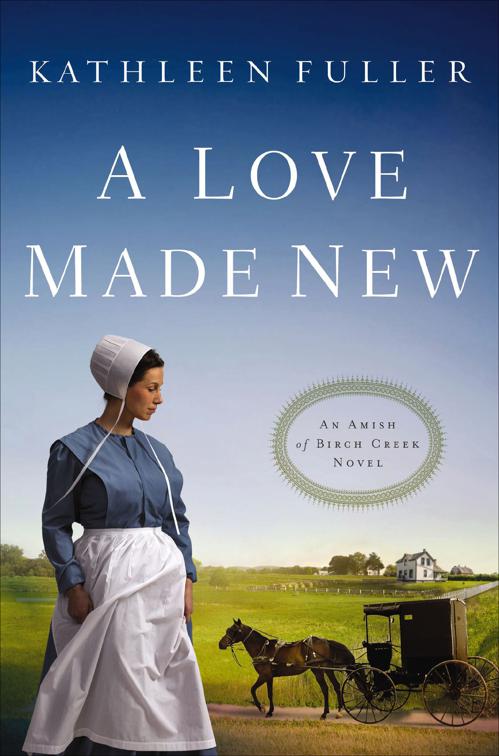 Love Made New, The Amish of Birch Creek Novels