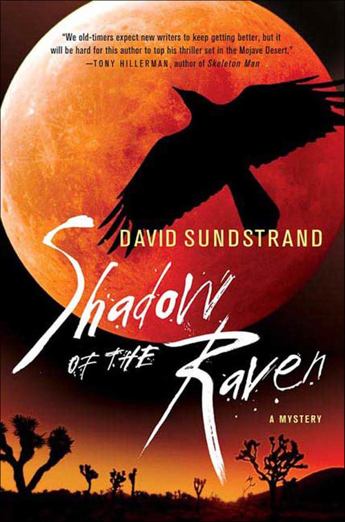 Shadow of the Raven, Frank Flynn Mystery Series