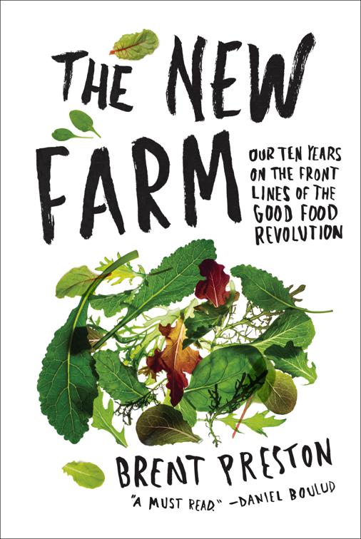 New Farm