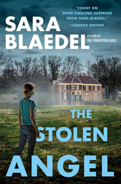 Stolen Angel, Louise Rick Series