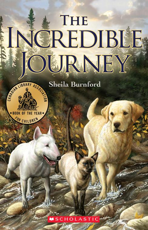 Incredible Journey