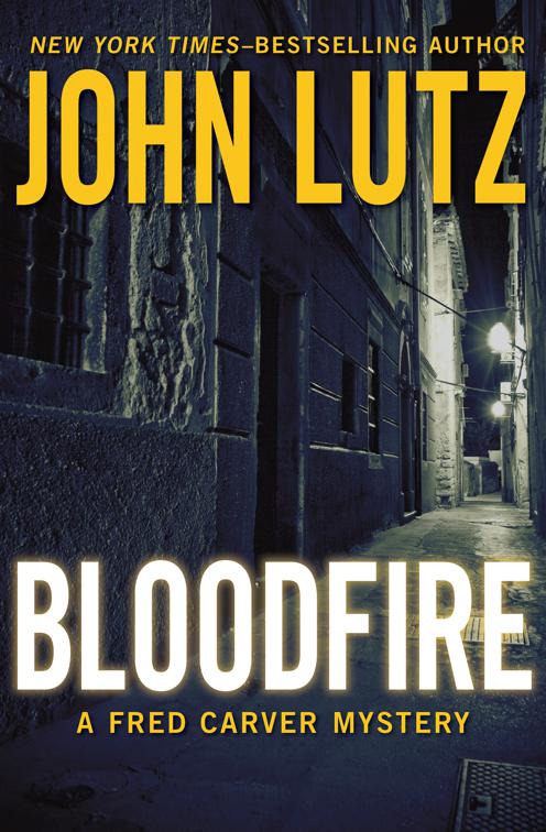 Bloodfire, The Fred Carver Mysteries