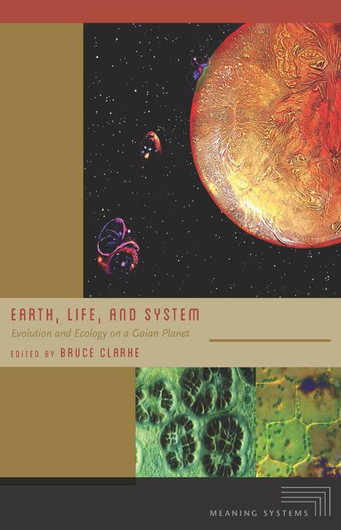 Earth, Life, and System, Meaning Systems